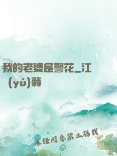 我的老婆是警花