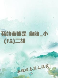 我的老婆是雙胞胎