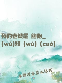 我的老婆是雙胞胎