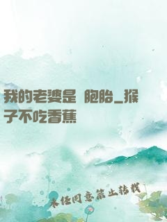 我的老婆是雙胞胎