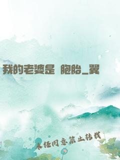 我的老婆是雙胞胎