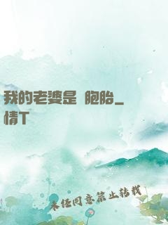 我的老婆是雙胞胎