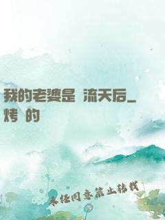 我的老婆是頂流天后