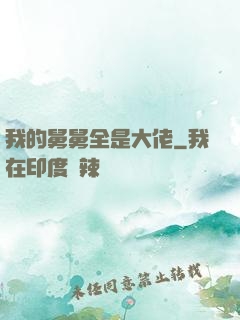 我的舅舅全是大佬