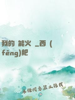 我的萬能火種