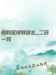 我的足球我做主