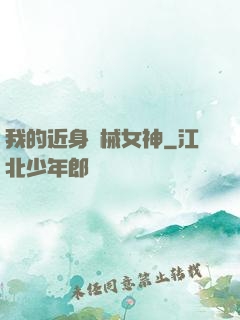 我的近身機械女神