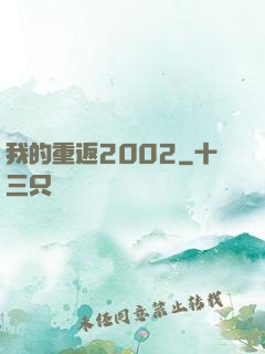 我的重返2002