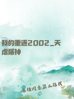 我的重返2002
