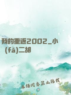 我的重返2002