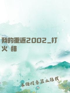 我的重返2002