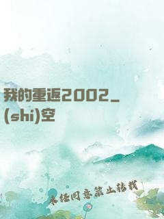 我的重返2002