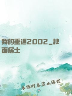 我的重返2002