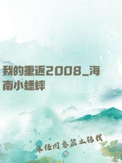 我的重返2008