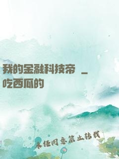 我的金融科技帝國