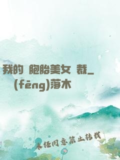 我的雙胞胎美女總裁