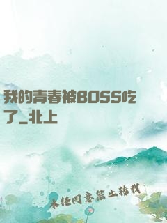 我的青春被BOSS吃了