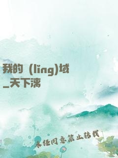 我的領(lǐng)域