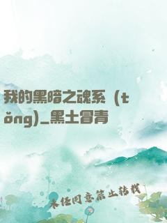 我的黑暗之魂系統(tǒng)