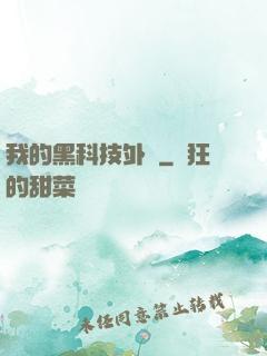 我的黑科技外掛
