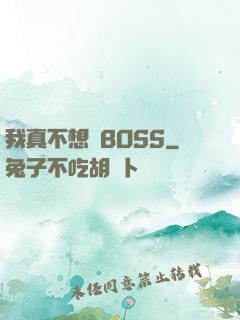 我真不想當BOSS