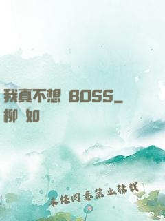 我真不想當BOSS
