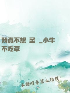 我真不想當圣師