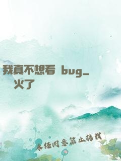 我真不想看見bug