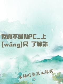 我真不是NPC
