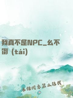 我真不是NPC