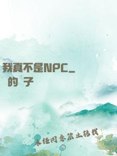 我真不是NPC