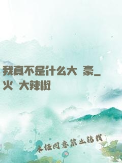 我真不是什么大劍豪