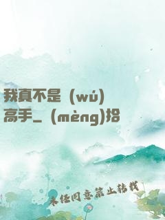 我真不是無(wú)敵高手