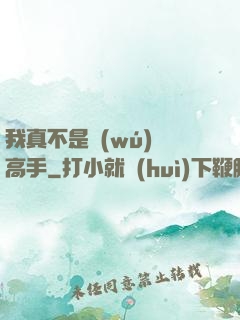 我真不是無(wú)敵高手