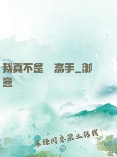 我真不是無敵高手
