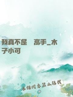 我真不是無敵高手