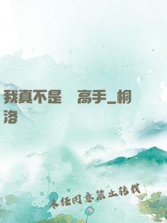 我真不是無敵高手
