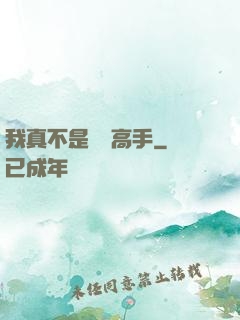 我真不是無敵高手