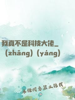 我真不是科技大佬