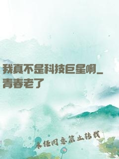 我真不是科技巨星啊