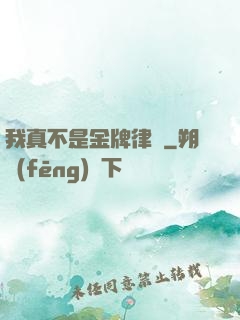 我真不是金牌律師