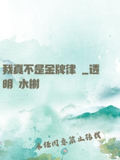 我真不是金牌律師