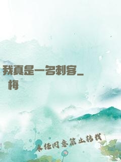 我真是一名刺客