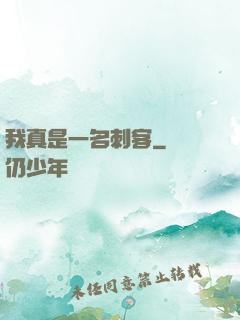 我真是一名刺客