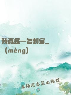 我真是一名刺客