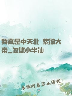 我真是中天北極紫微大帝
