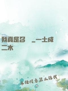 我真是召喚師