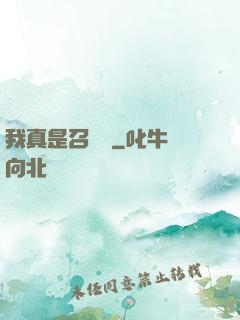 我真是召喚師