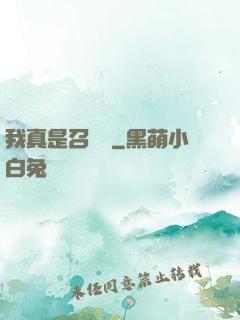 我真是召喚師