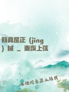 我真是正經(jīng)槍械師